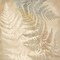 Majestic Ferns II Poster Print by Cynthia Coulter - Item # VARPDXRB10088CC